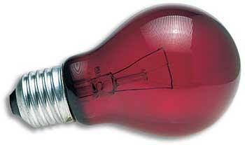 TopDawg Pet Supply 15 Watt Nightlight Red Inc Reptile Bulb