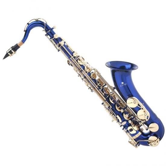 cclo100 Saxophone Shop