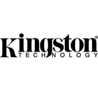Kingston FA-LYD-100P Flash Lanyard - 100 pack