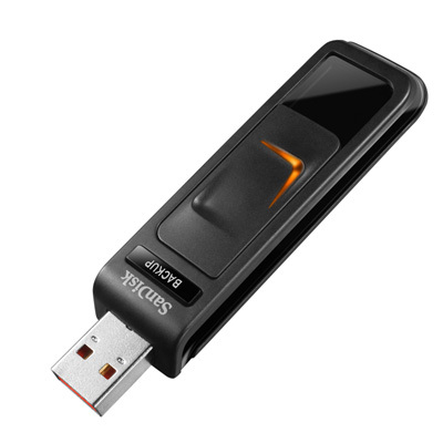 SanDisk SDCZ40064GA11 Ultra Backup 64GB USB Flash Dr