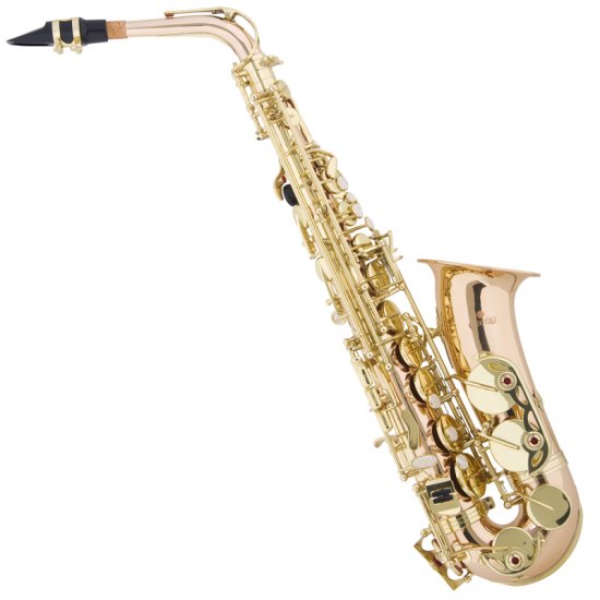 cclo008 Saxophone Shop