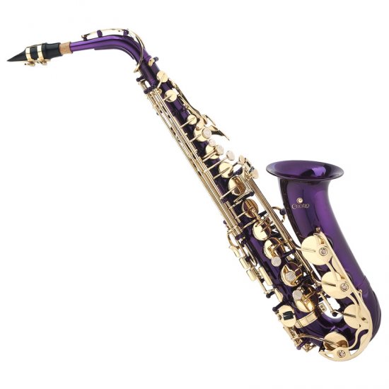 cclo018 Saxophone Shop