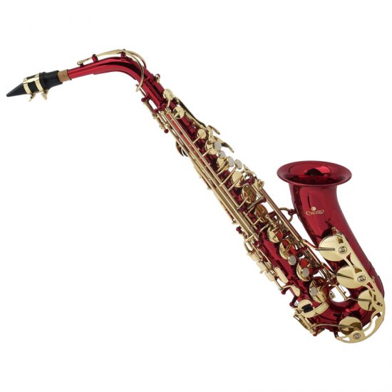 cclo019 Saxophone Shop