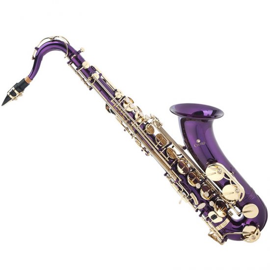 cclo107 Saxophone Shop