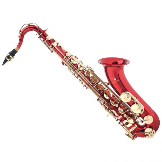 cclo108 Saxophone Shop