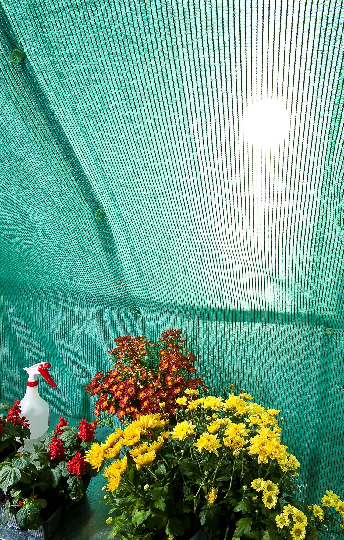 Palram Industries HG1006 Snap and Grow Shade Kit