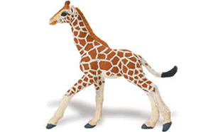 Safari 268529 Reticulated Giraffe Baby Animal Figure Pack of 12