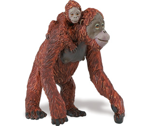 Safari 293529 Orangutan with Baby Animal Figure Pack of 6