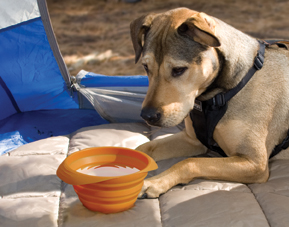 Collapsible Dog Bowls kurg025 Collapsible Dog Bowls