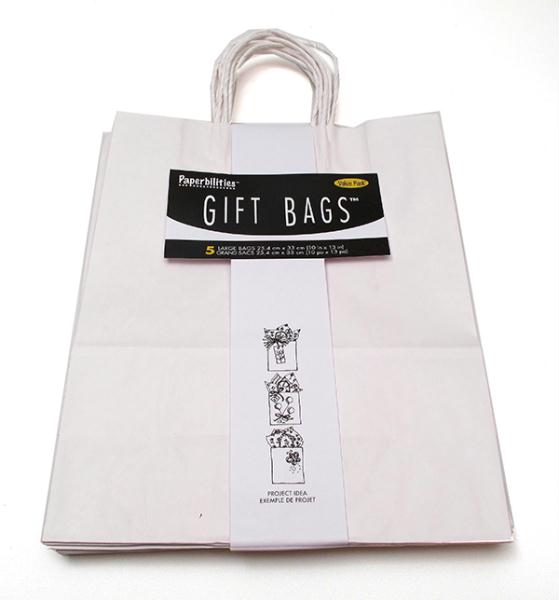 0199-85468 10" White Gift Bag - Pack Of 5