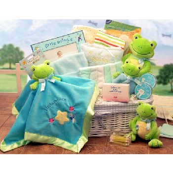 Bulk Savings 341695 Just Hoppin Around New Baby Hamper Gift Large