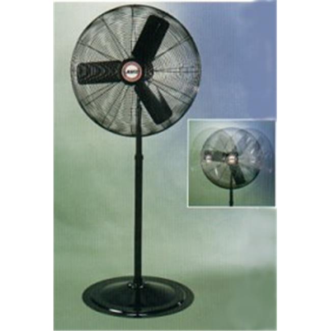 Selling my mexican fan palm maintenance, lasko 3135 industrial grade