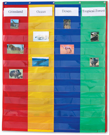Learning Resources LER2382 2 And 4 Column Double-Sided Pocket- Chart Learning Resources LER2382 2 And 4 Column Double-Sided Pocket- Chart