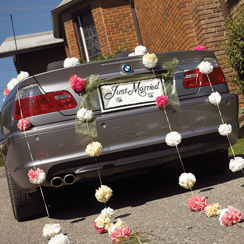 Weddingstar 164-10 License Plates