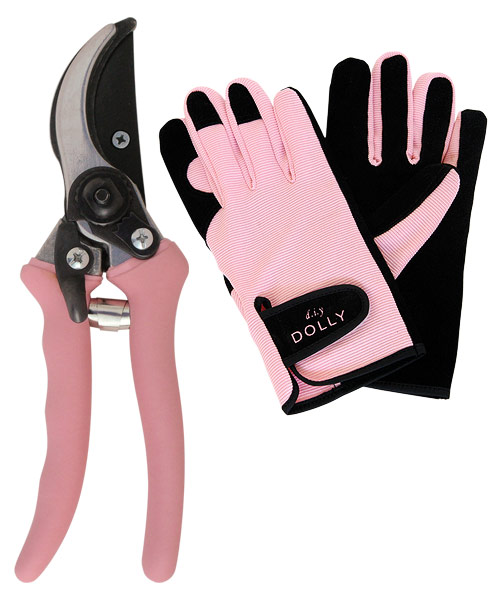 Weddingstar 8729 Glove and Secateur- Pruning Shears Set in Gift Box