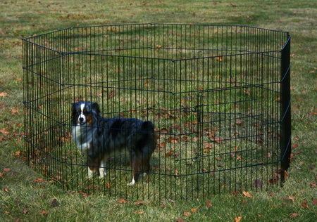 General Cage 36-8DLX 36 Inch Deluxe Pet Exercise Pen