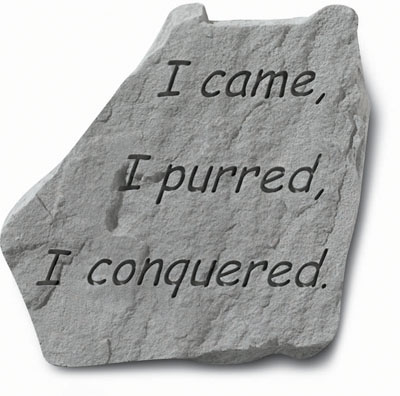 Kay Berry- Inc. 91520 I Came-i Purred-i Conquered - Garden Accent - 9 Inches X 9 Inches