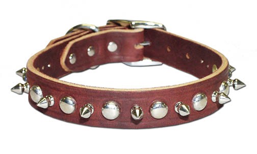 . 6080-bk16 Black Signature Leather Spike And Stud Dog Collar -size 16