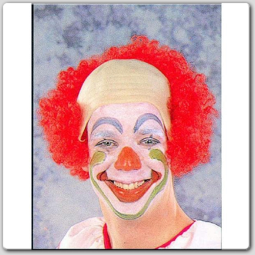 RG Costumes 60028 Bowhead Clown Wig  Size Adult