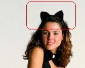 RG Costumes 65041 Cat Ears Only  Plush