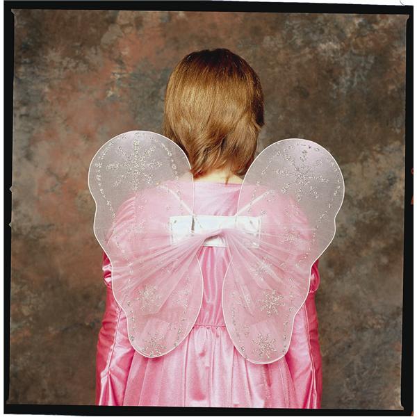 RG Costumes 65168 Fairy Wings Costume Pink Size Child