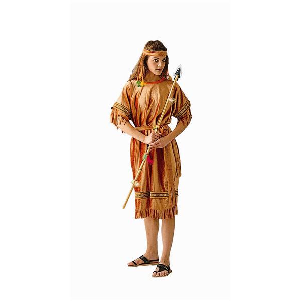 RG Costumes 81060 Indian Maiden Costume Size Adult Standard