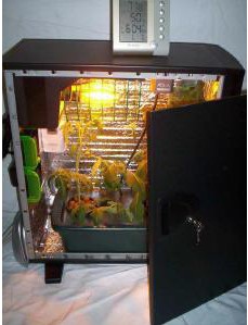 Sunlight Solutions PCP-1 PC Planter Hydroponic Growing Cabinet