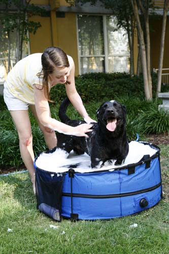 ABO Gear ABG-10656 Dirty Dog Portable Pet Tub - 36 Inch