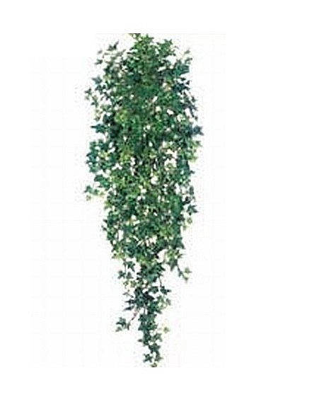 Allstate PBW362-GR-TT 51 Inch Medium Sage Ivy Hanging Bush x18 with 730 Leaves -Two Tone Green- Pack of 6