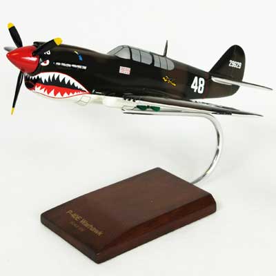 Toys and Models P-40E Warhawk