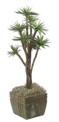 Autograph Foliages P-0840 - 3 Foot Agave Tree - Green