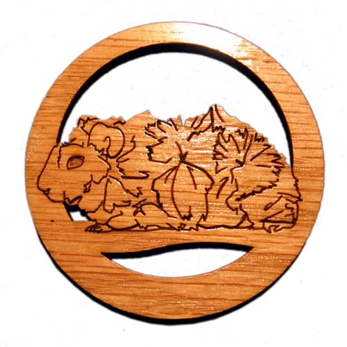 CAMIC designs SMA003M Laser-Etched Abyssinian Guinea Pig Magnets - Set of 6