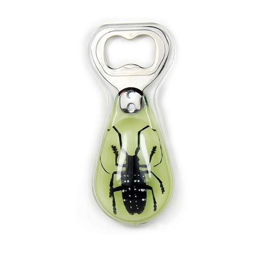 Bo305 Real Bug Bottle Openers-asian Long Horned Beetle-glow In The Dark