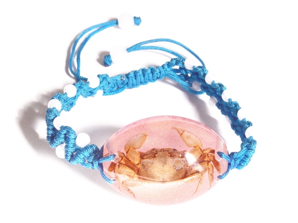 Ed Speldy East OL504 Real Bug Bracelet-Crab-Oval Shape-Pink pack of 4