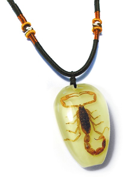 Pyb1101 Real Bug Necklace-scorpion