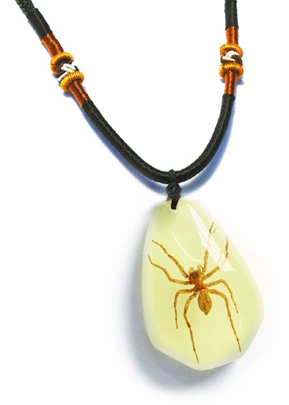 Pyb1102 Real Bug Necklace-spider