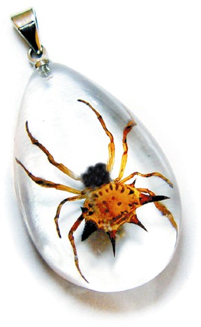 Sd1102 Real Bug Necklace-spiny Spider