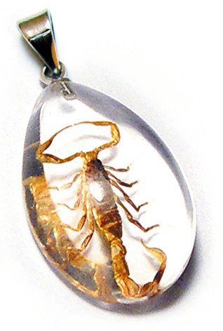 Sd1104 Real Bug Necklace-scorpion