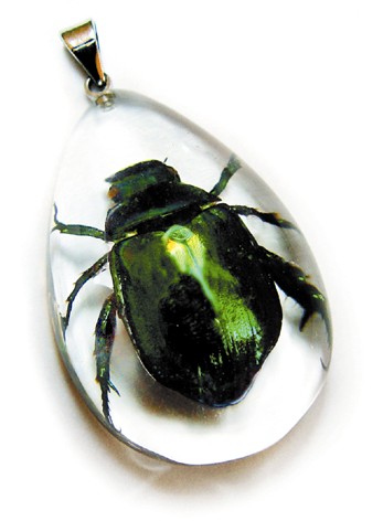 Sd1105 Real Bug Necklace-chafer Beetle
