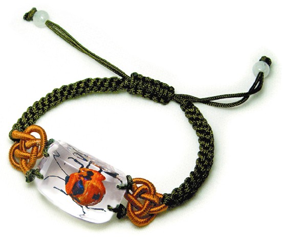 Ed Speldy East SL11 Real Bug Bracelet-Shield bug pack of 3