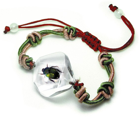 Ed Speldy East SL12 Real Bug Bracelet-lucky beetle pack of 3