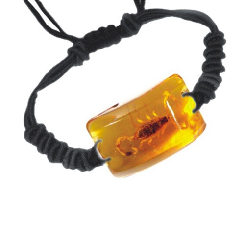 Ed Speldy East SL151 Real Bug Bracelet-Scorpion-Rectangle Shape-Amber pack of 4