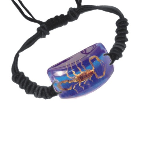Ed Speldy East SL152 Real Bug Bracelet-Scorpion-Rectangle Shape-Clear Blue- pack of 4