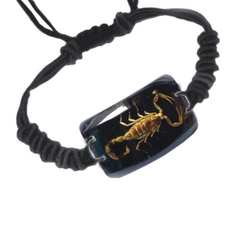 Ed Speldy East SL153 Real Bug Bracelet-Scorpion-Rectangle Shape-Black pack of 4