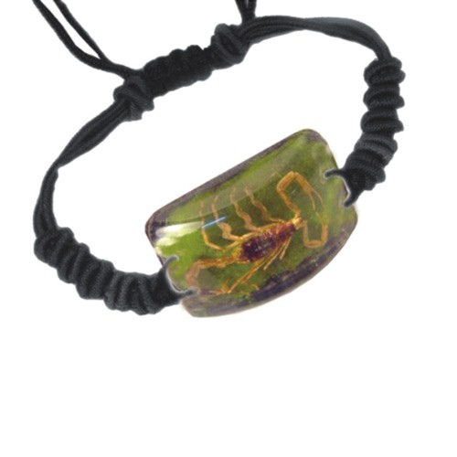 Ed Speldy East SL154 Real Bug Bracelet-Scorpion-Rectangle Shape-Green Sand pack of 4