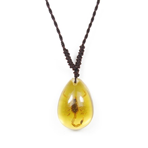 Sp101 Real Bug Necklace-scorpion-small-water Drop Shape-amber-