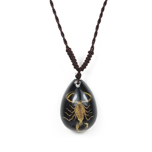 Sp103 Real Bug Necklace-scorpion-small-water Drop Shape-black