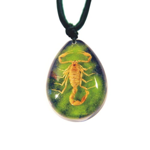 Ed Speldy East SP202 Real Bug Necklace-Scorpion-Large-Water Drop Shape-Green Sand pack of 3