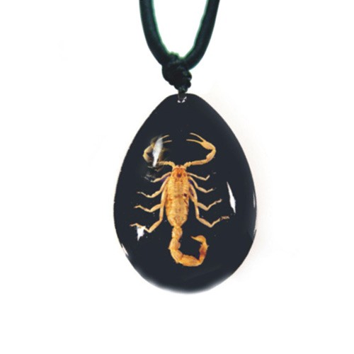 Sp203 Real Bug Necklace-scorpion-large-water Drop Shape-black