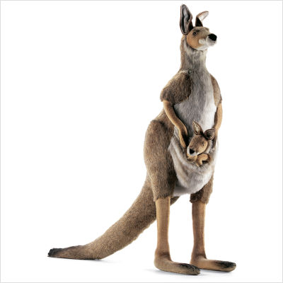 Kangaroo- Mama And Joey